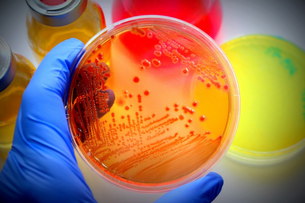 harmonized-requirements-for-microbiological-analysis-of-food